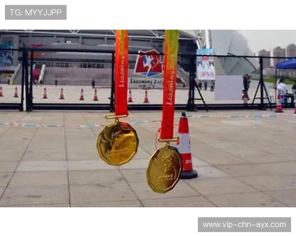 江苏队包揽多项奖牌，省级体育体制获官媒肯定